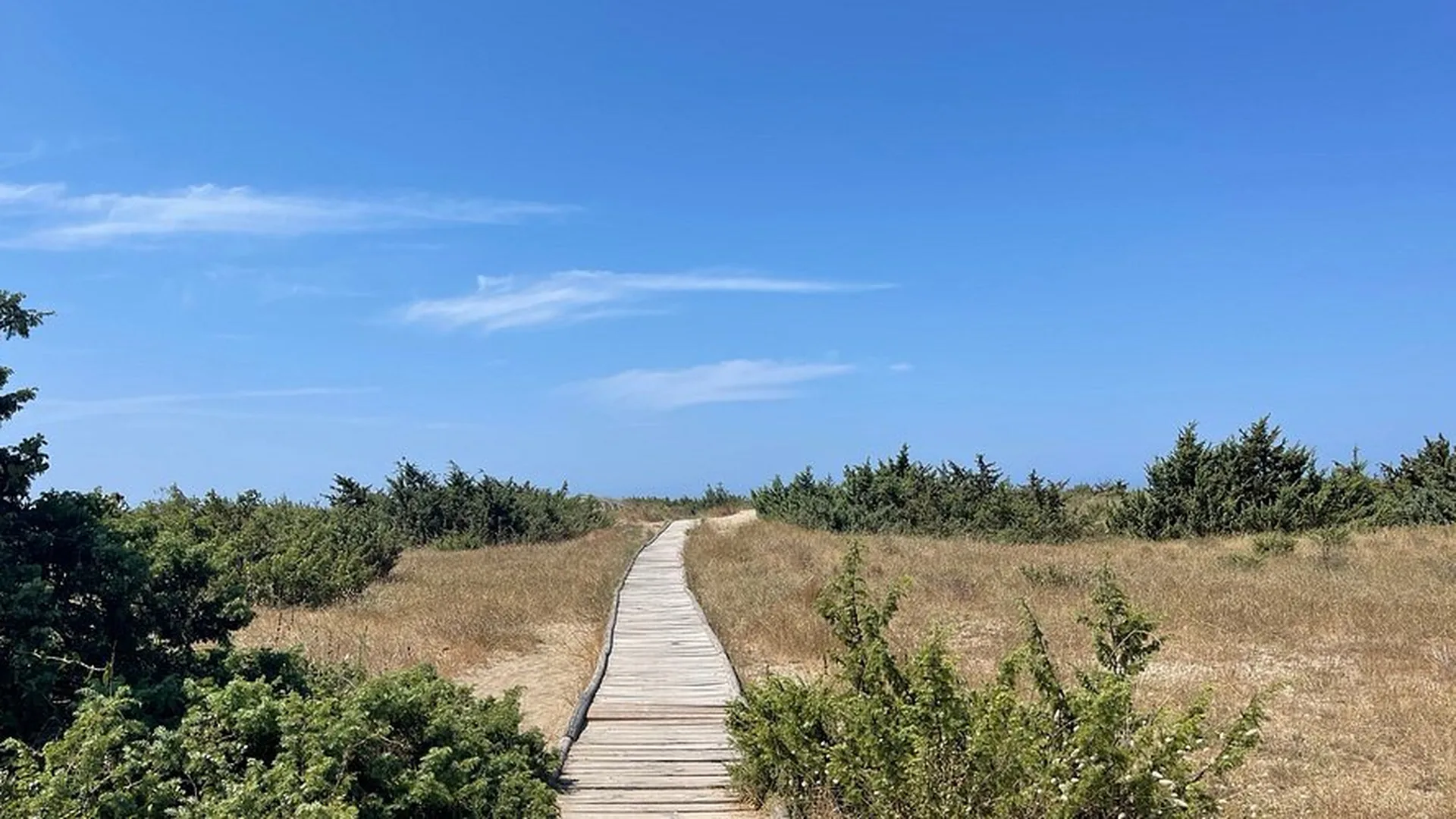 La casina, Viareggio (Toscana)